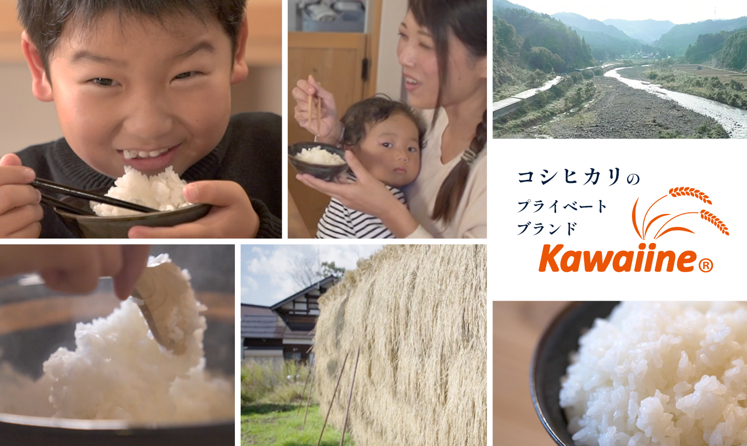 コシヒカリのプライベートブランド「kawaiine®︎」PR動画